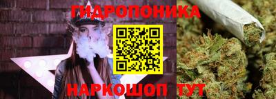 прущие грибы Балашиха